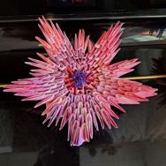 De vierde tentoonstelling van Papierkunst is weer druk bezocht in het Claverhuis!