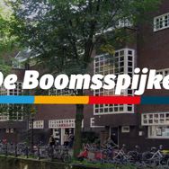 Grote Boomsspijker schoonmaak 10 maart