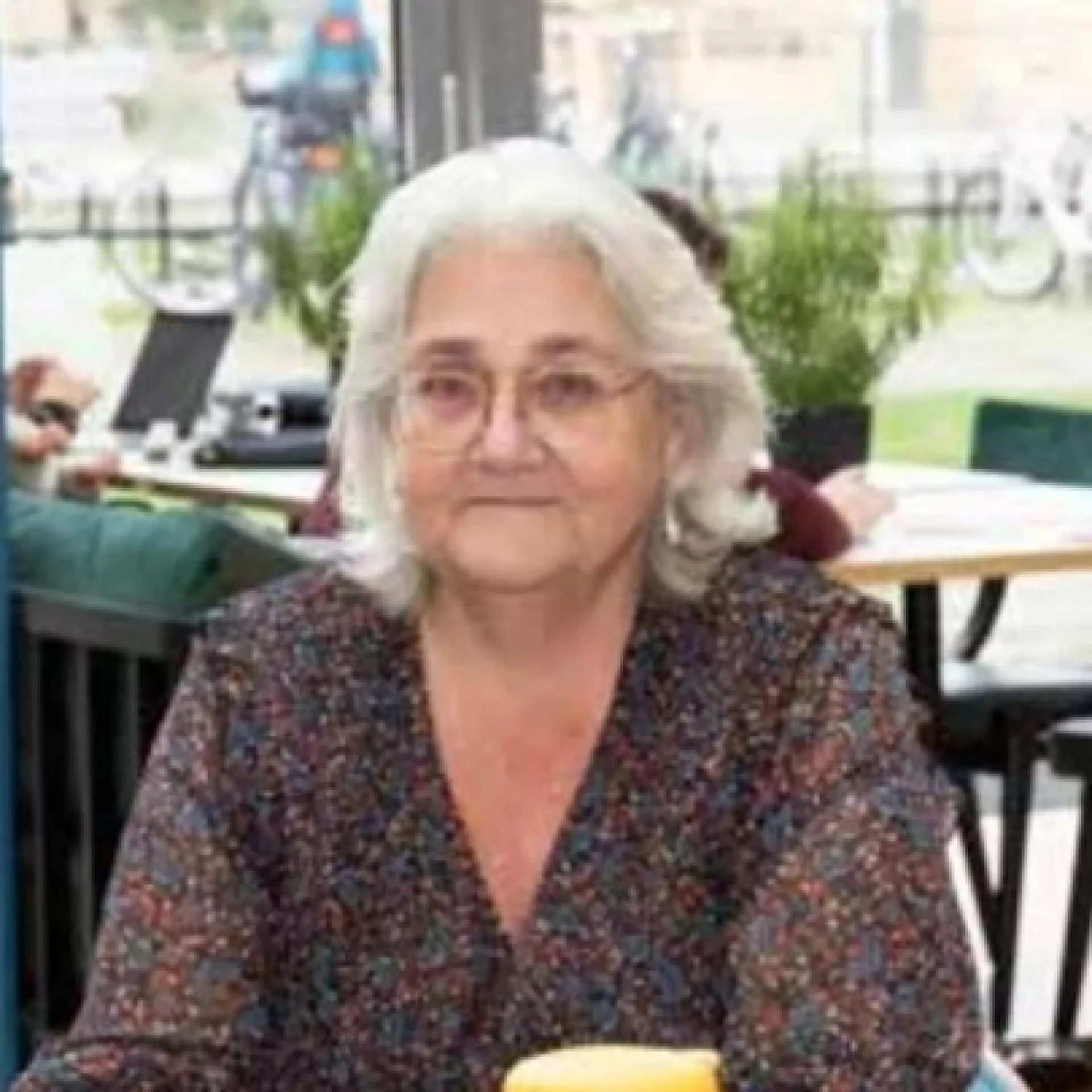 Ingrid van den Bedem